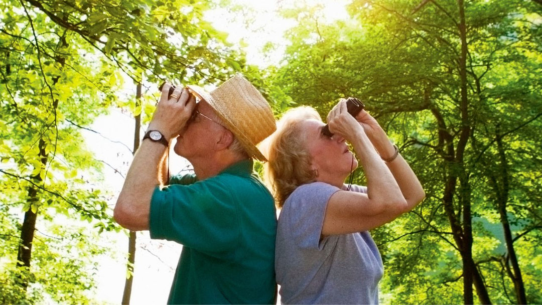 Birdwatching Adventures: Planning Your First Ornithology Hike