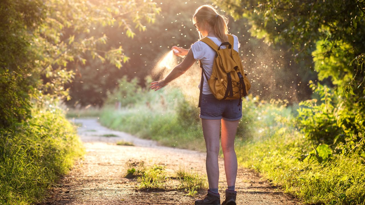 How to Avoid Ticks While Hiking