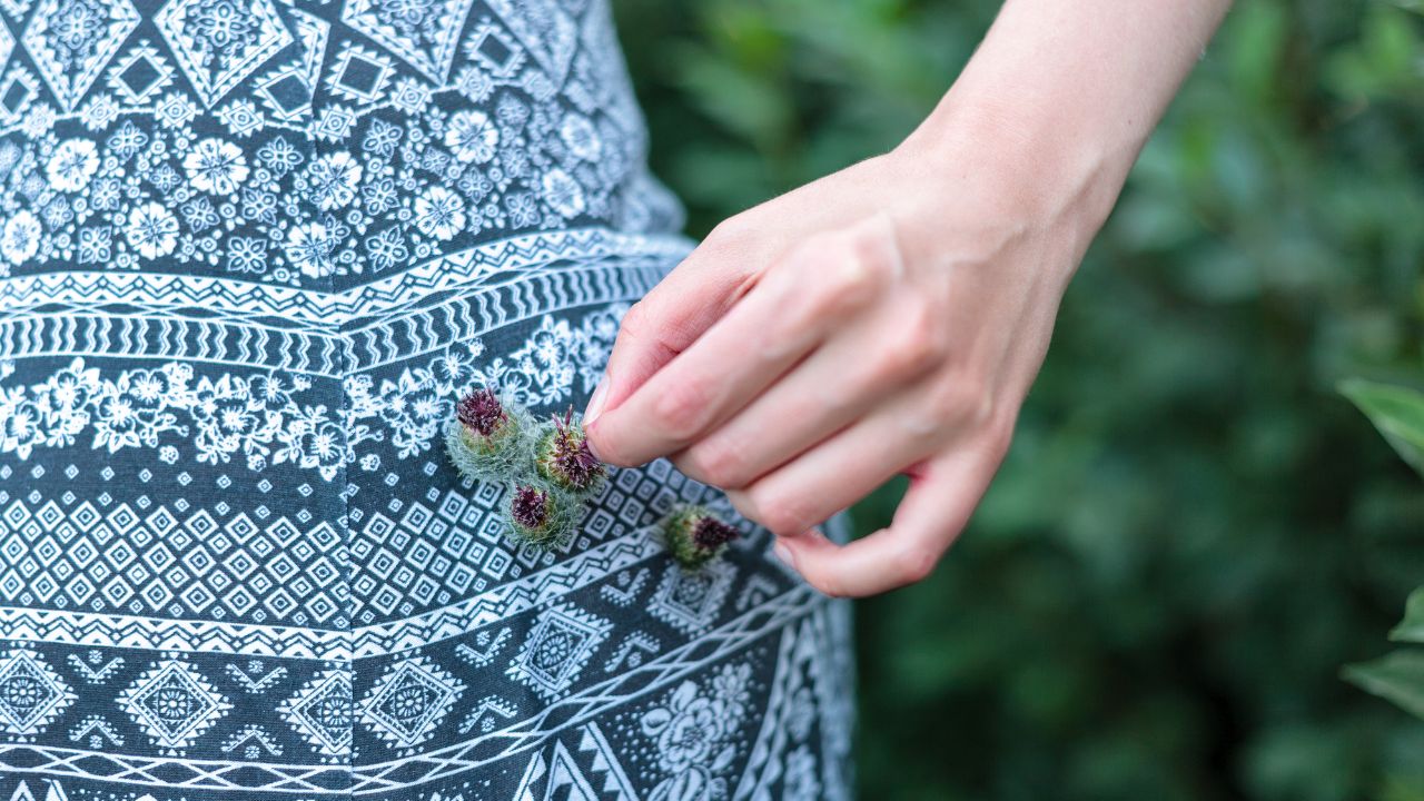 How to Get Burrs Off Clothes? Easy Hacks to Remove