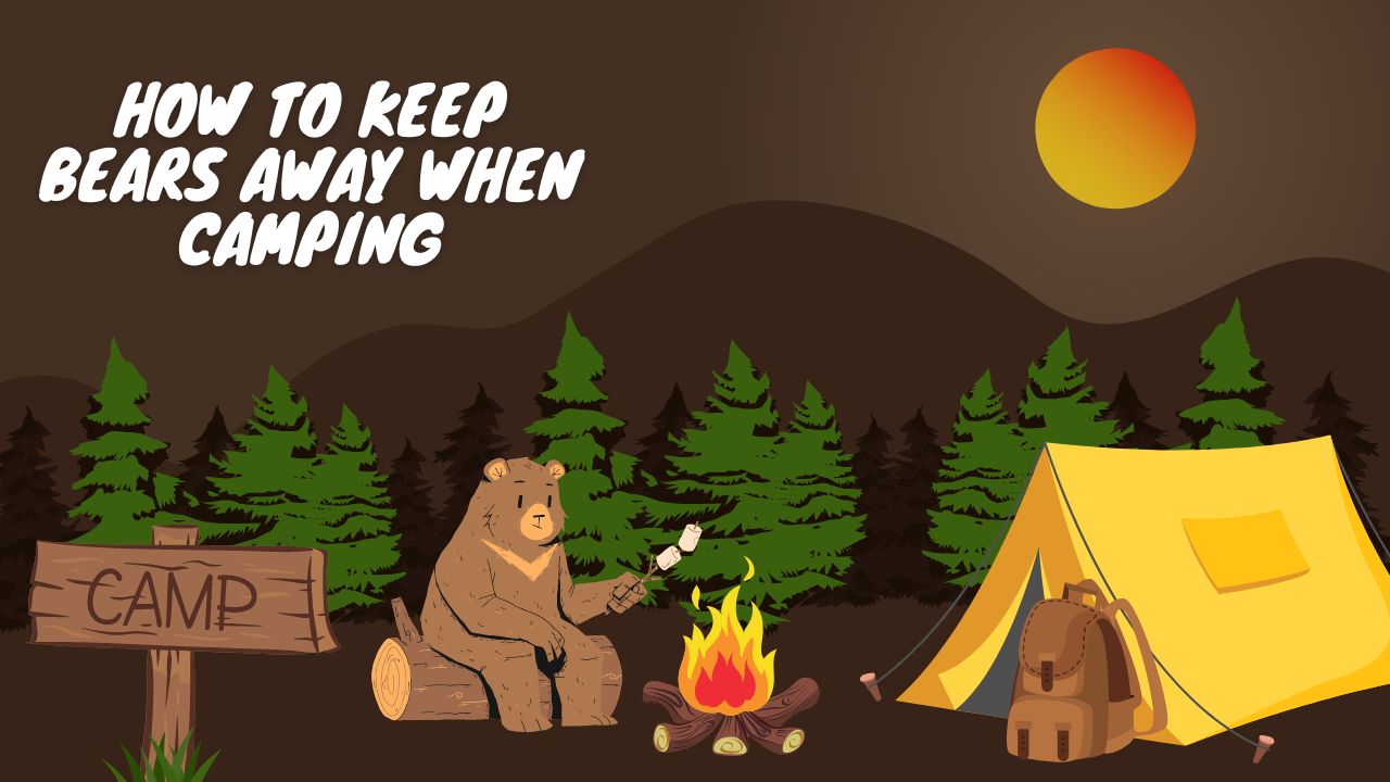 How to Keep Bears Away When Camping Complete guide Merino Protect