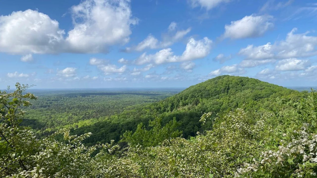 Hiking Near Atlanta: 10 Best Trails Guide Georgia – Merino Protect