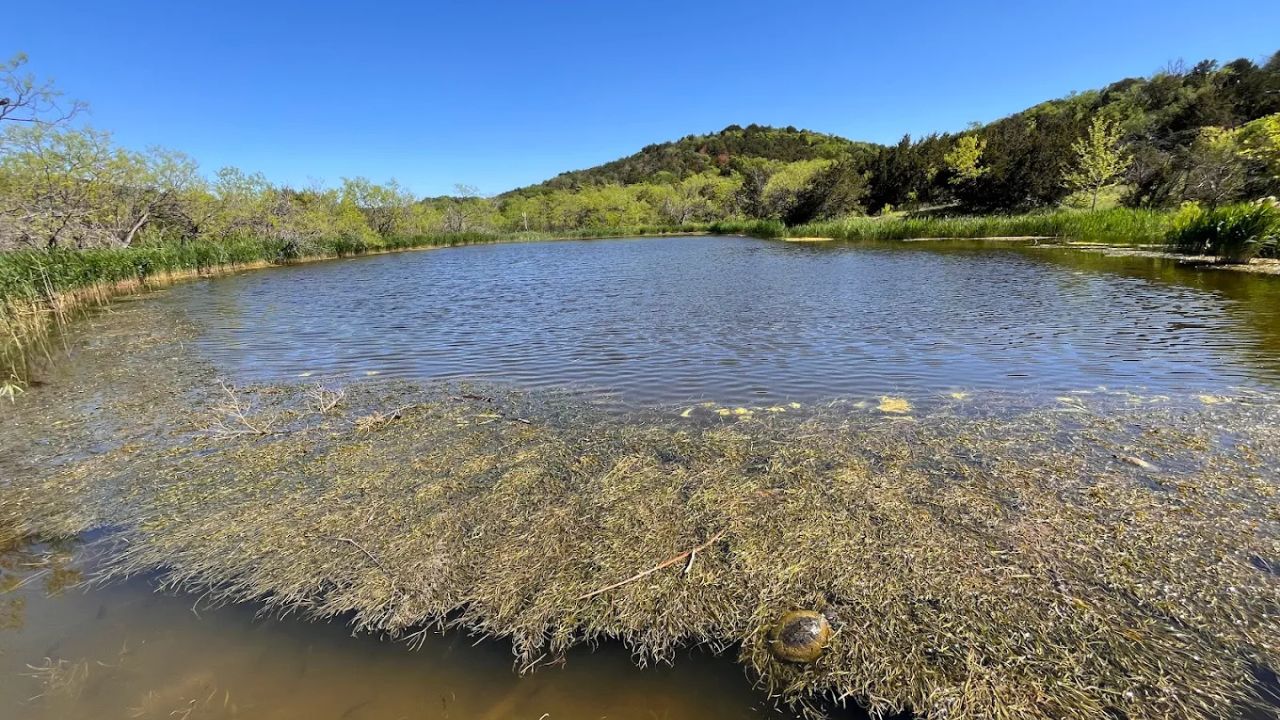 Where to Hike Near Dallas? Best Texas Trails Guide