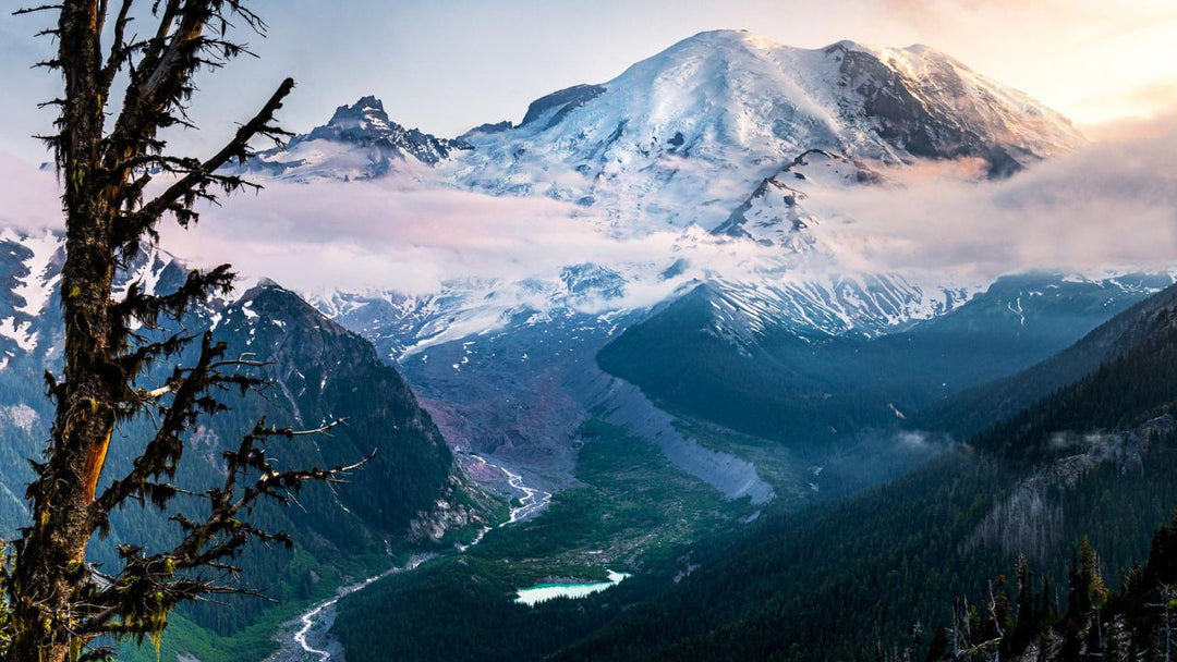 The Ultimate Guide to Hiking Near Seattle