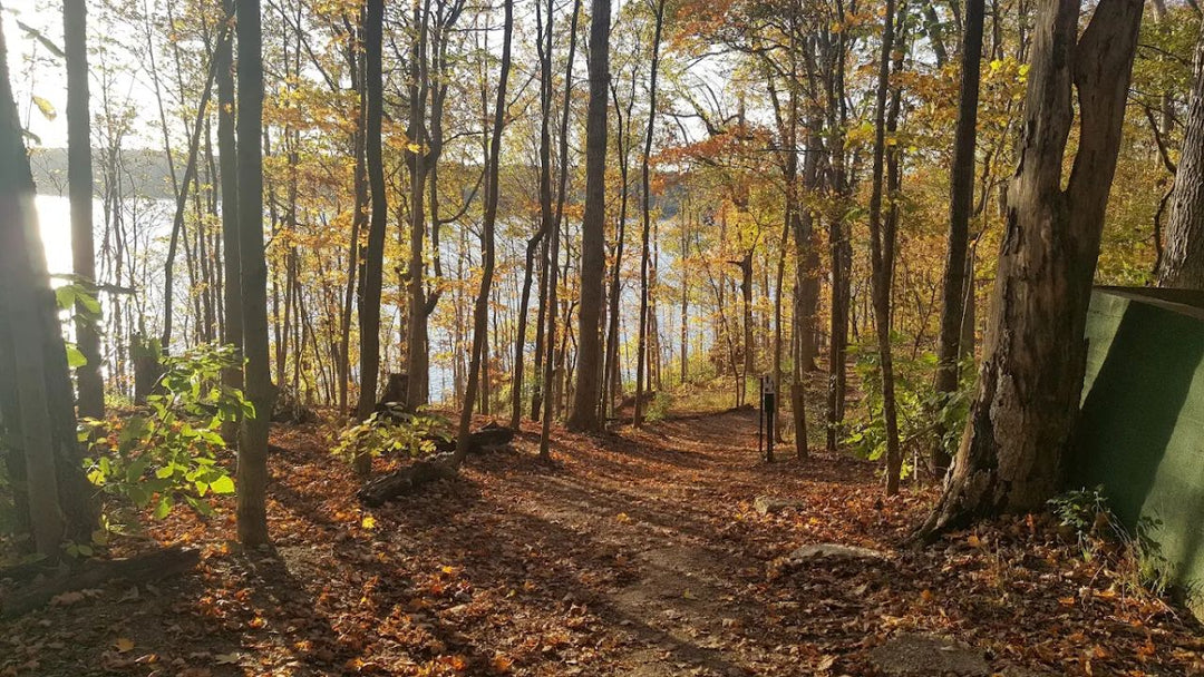Best Hiking Trails Near Indianapolis: Your Complete Guide to Outdoor Adventures in Central Indiana