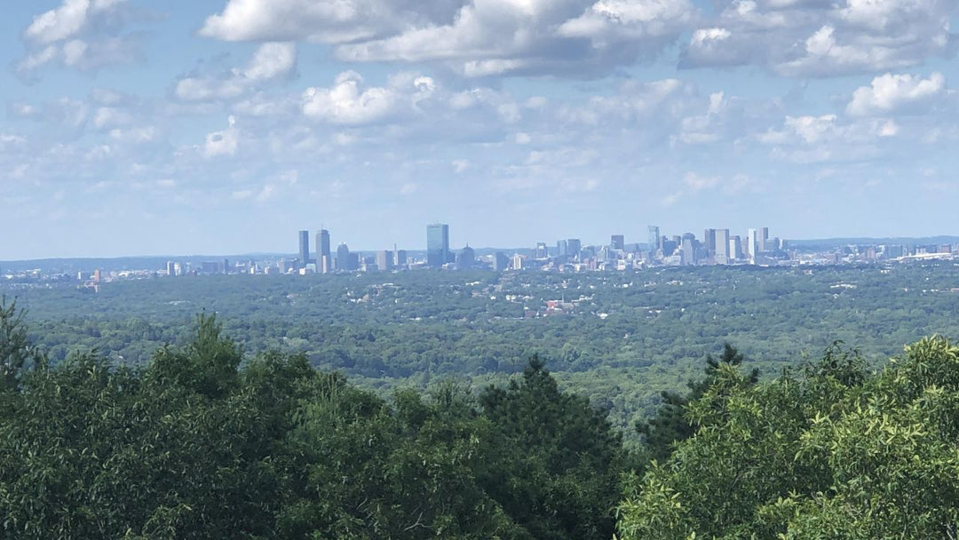 10 Best Hiking Trails Near Boston