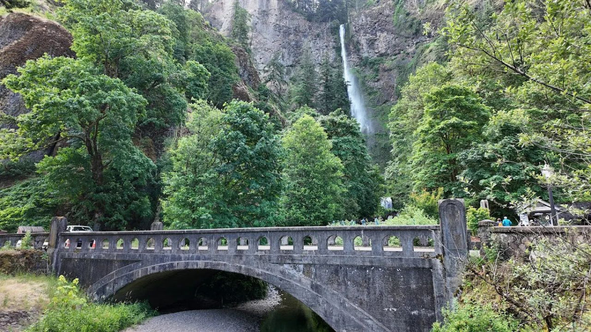 The Ultimate Guide to Hiking Near Portland: Best Trails for Every Seas ...