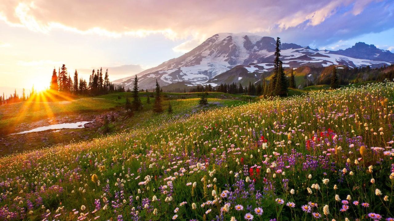 The Best Hikes in Mount Rainier National Park: Explore Majestic Peaks