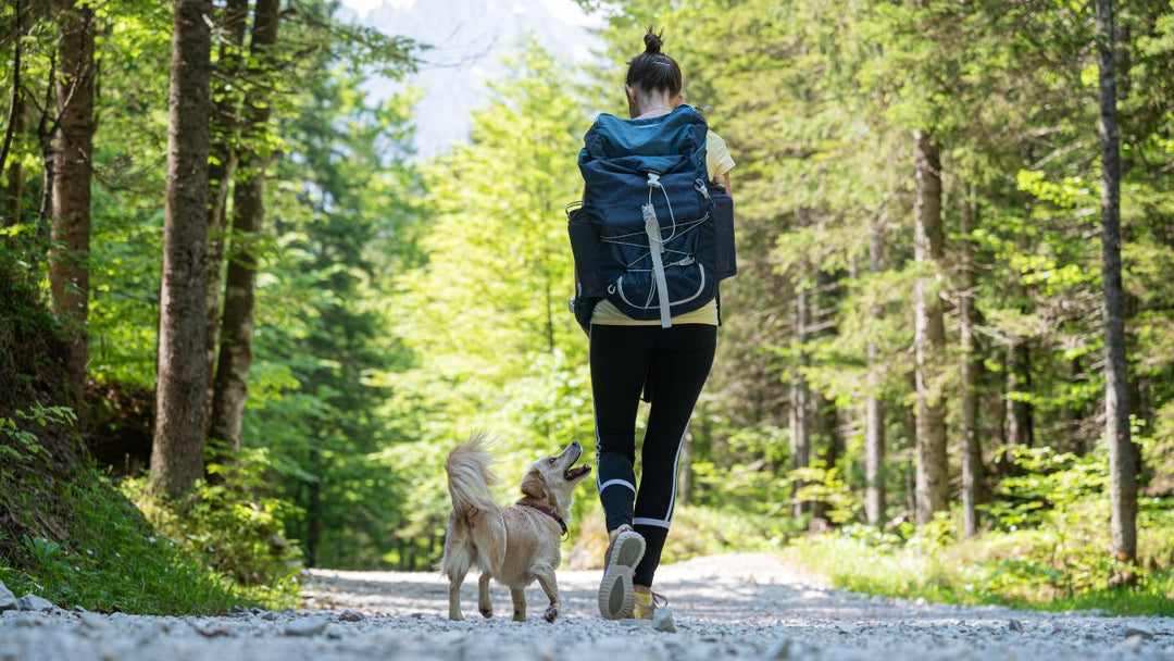 Bushwalking vs Hiking: A Merino Layering Guide for Aussie Conditions