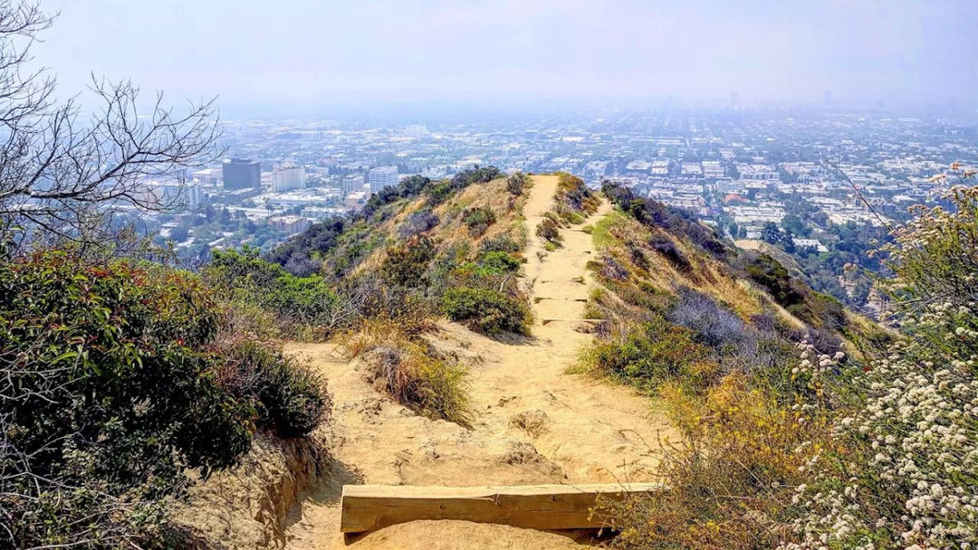 Top 10 Best Hikes Near Los Angeles 