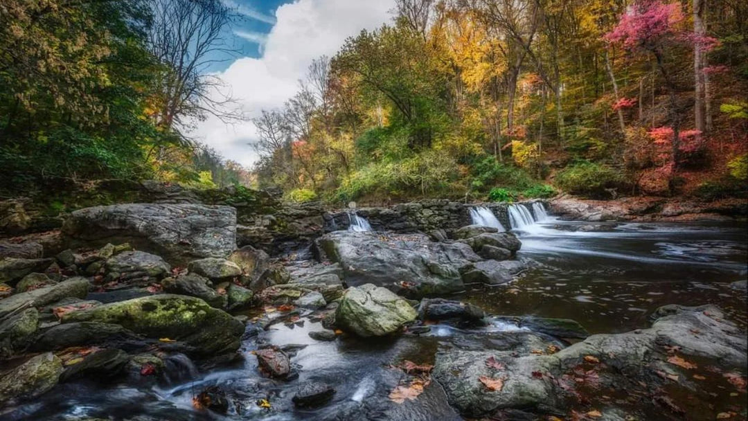Top 10 Scenic Hiking Trails Near Philadelphia for Every Skill Level 