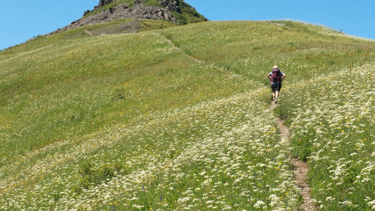 What is Thru Hiking? Complete Guide: Everything you need to know